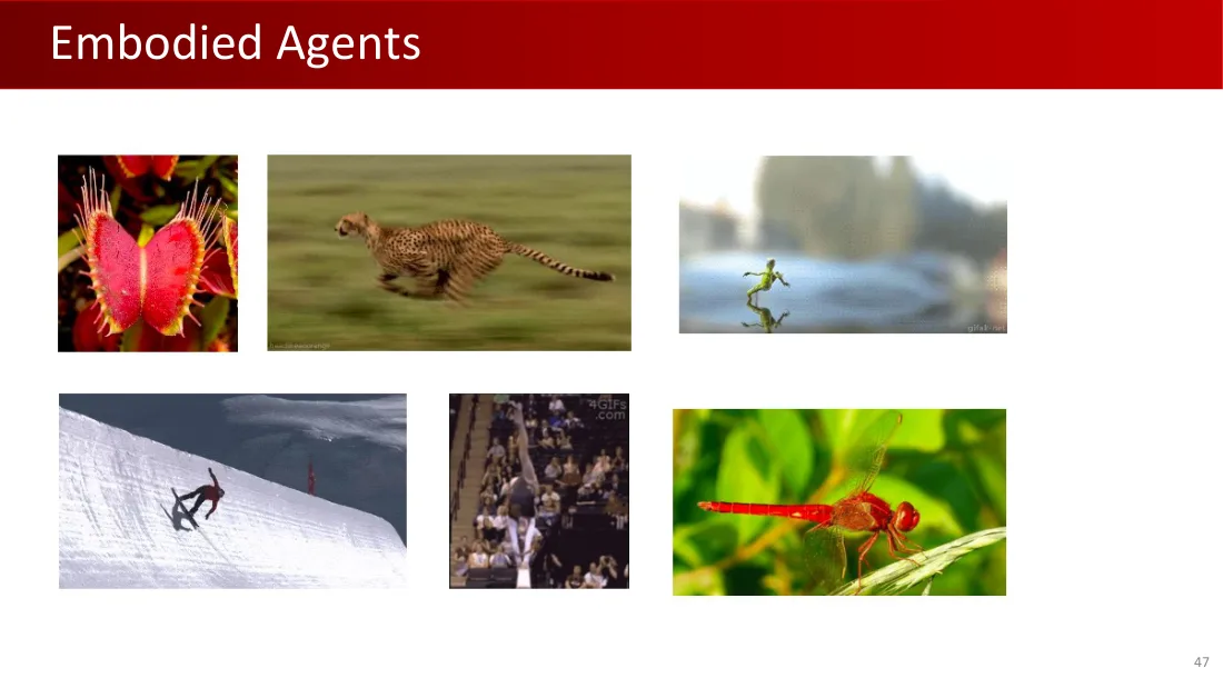 Lecture 1 英文原课件第47页